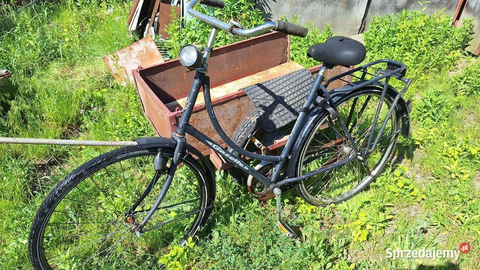 Rower retro Gazelle Koninkluge dieren Konin