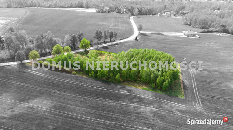 Działka Olsza 671m2