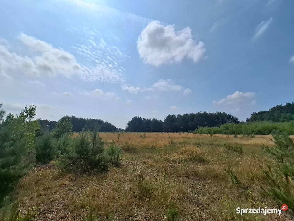 Działka rolna 28700mkw Wilkowo Dolina Baryczy