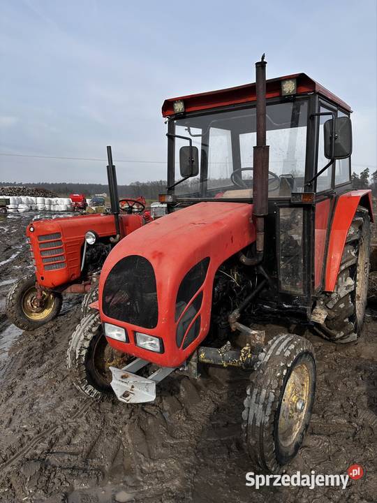 Zetor major 3011 na części Brodnica