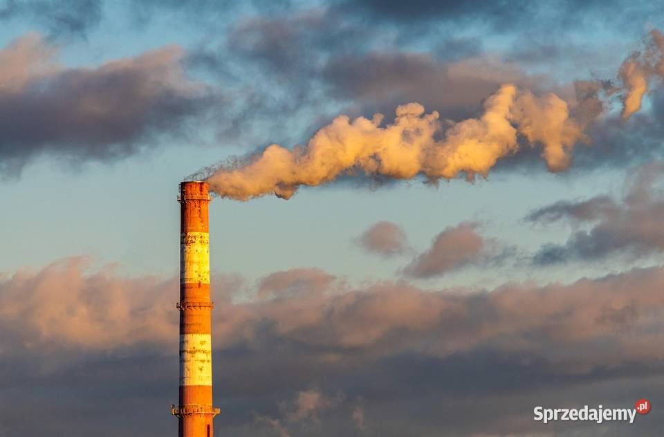 Raport Kobize Łowicz Brodnica Nowy Dwór