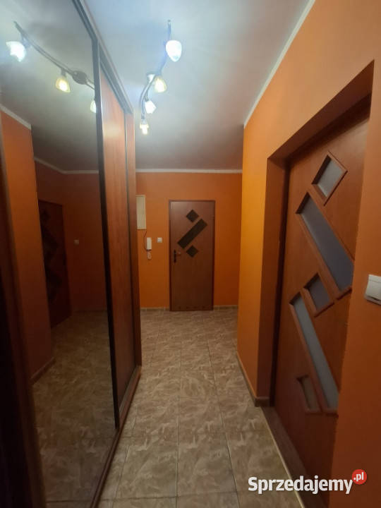 Wynajmę 3 pokojowe mieszkanie 63m2 małym Gorzów Wielkopolski