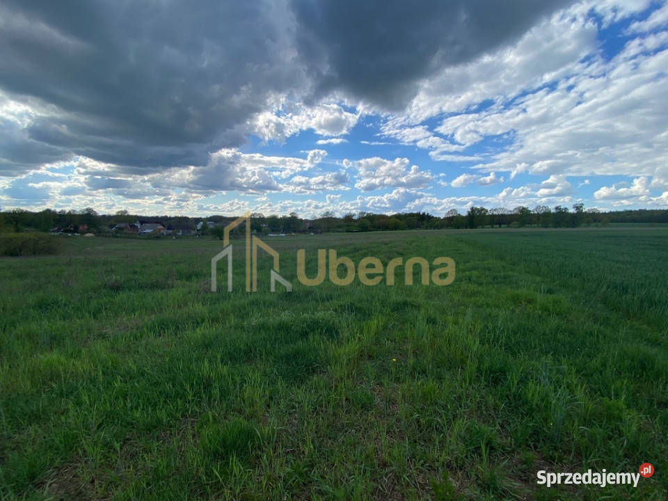 Działka 1744 m2 w Rogowie 17 Stargardu Sprzedaż zachodniopomorskie Rogowo