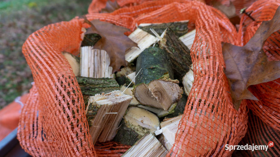 Rębak walcowy REMET R100 rozdrabniacz do gałęzi Leśnictwo sprzedam