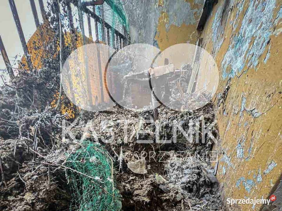 Sprzątanie gołębiach Sanok Kastelnik mycie