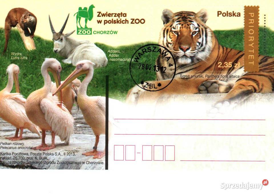 Całostki karty pocztowe 2013r wielkopolskie Konin