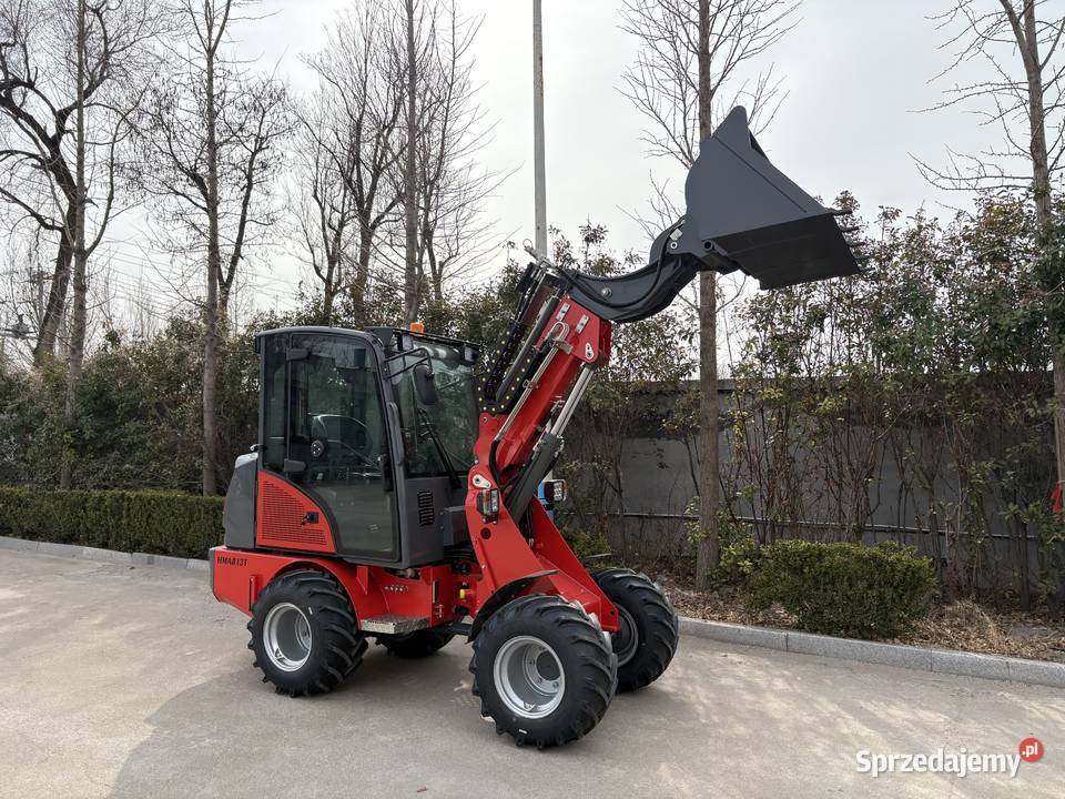 Hornet PRO HMA813T wielkopolskie Jutrosin sprzedam