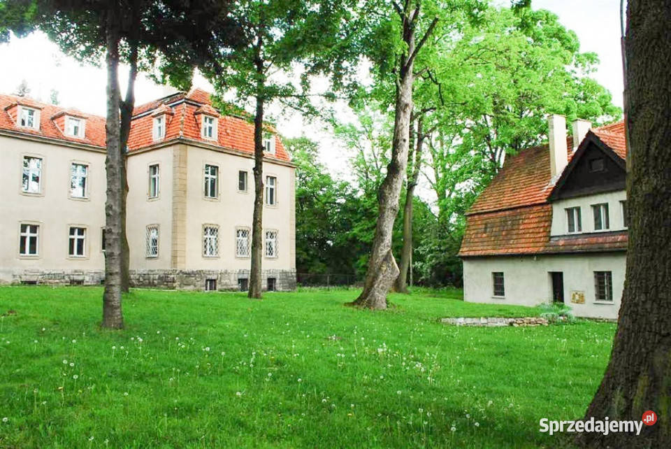 sprzedaży lokalu Wałbrzych 5000m2 dojazd asfaltowy Sprzedaż