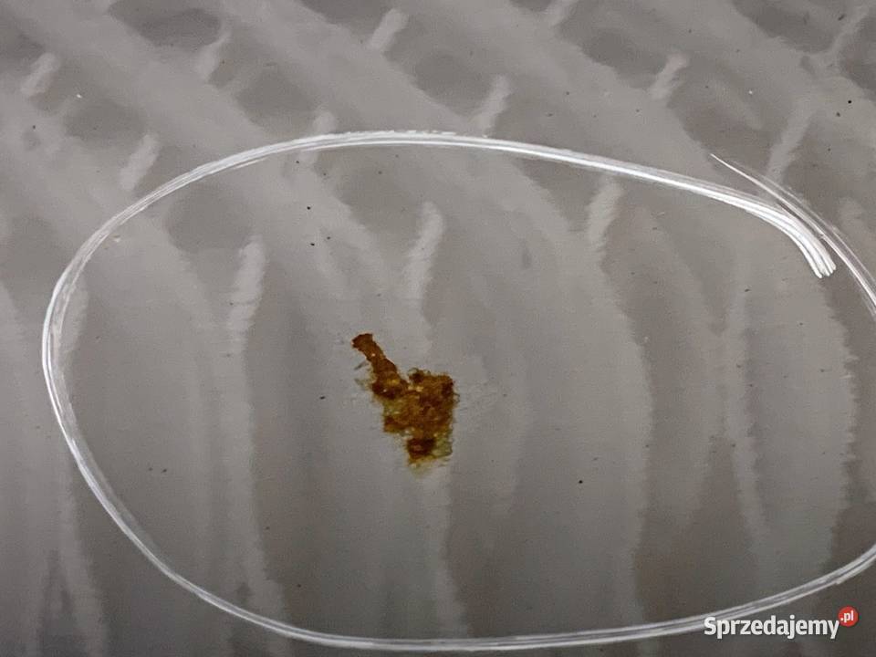 KLAPA TYŁ HYUNDAI i20 II Hatchback Baby Elephant osobowe