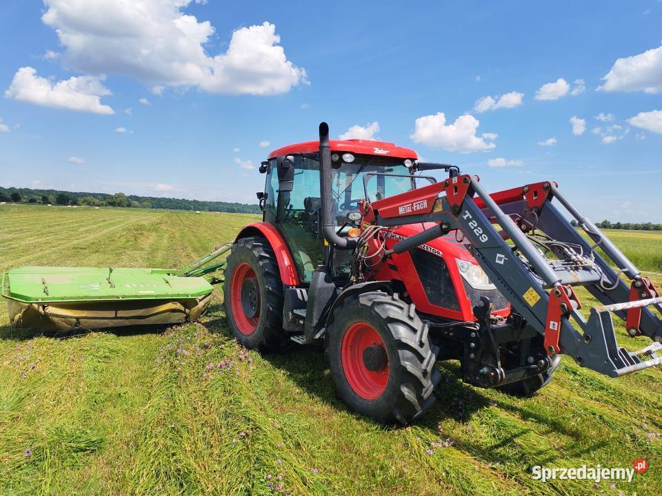 Zetor Proxima 120 HS 2018 1500 mth TUR TUZ 1 dolnośląskie Ząbkowice Śląskie