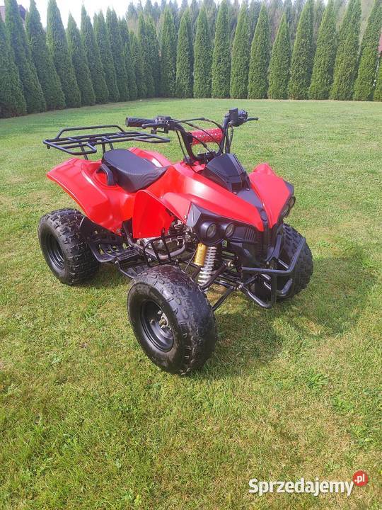 Quad Bombardier 125 31 Iskrzynia