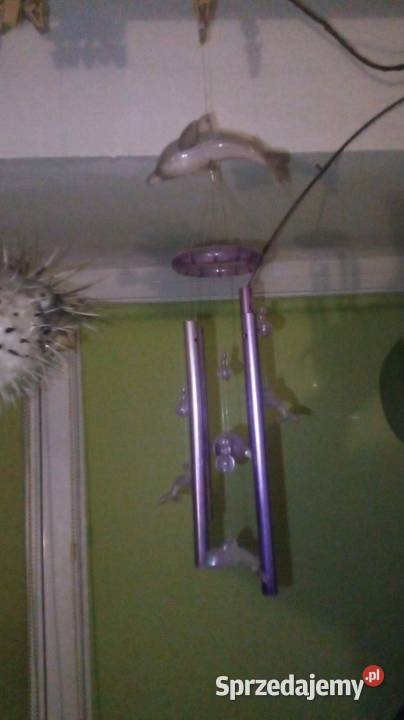 Ryba rozdymka spreparowana Warszawa