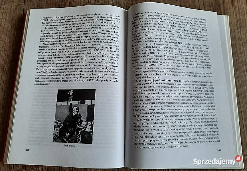 Polskie dzieje czasów najdawniejszych do sprzedam