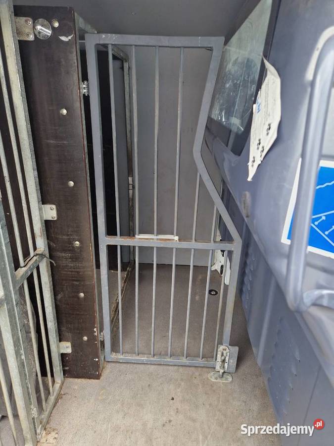 Zabudowa do przewozu psów busa auto dostawcze Pozostałe Pozostałe Złocieniec