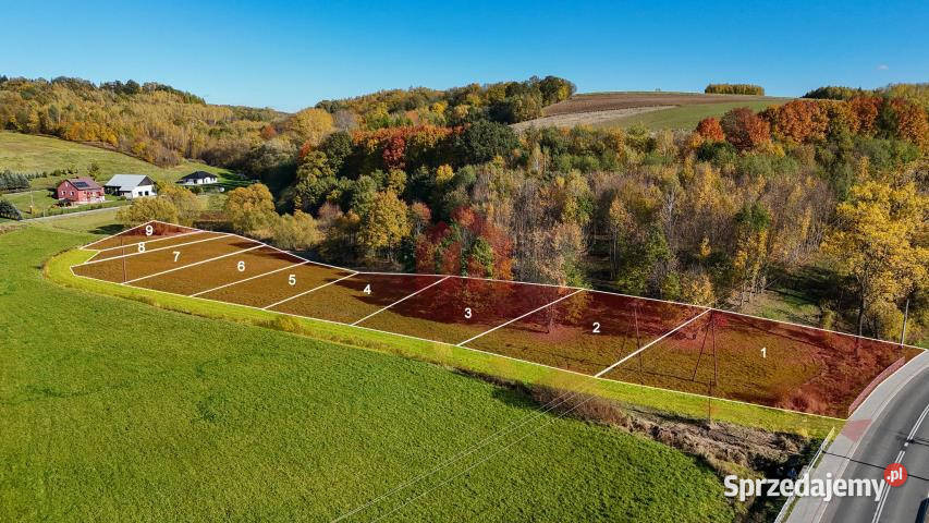 Działka Wielopole Skrzyńskie 1000m2