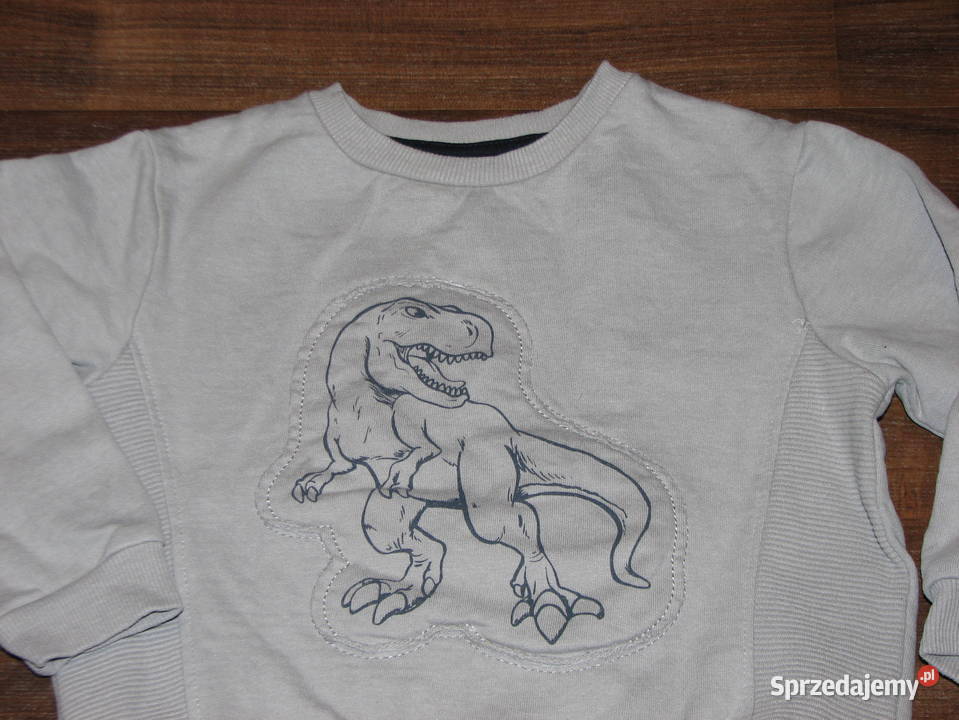 Little Kids bluza dinozaur 98 104 chłopiec dolnośląskie Wrocław