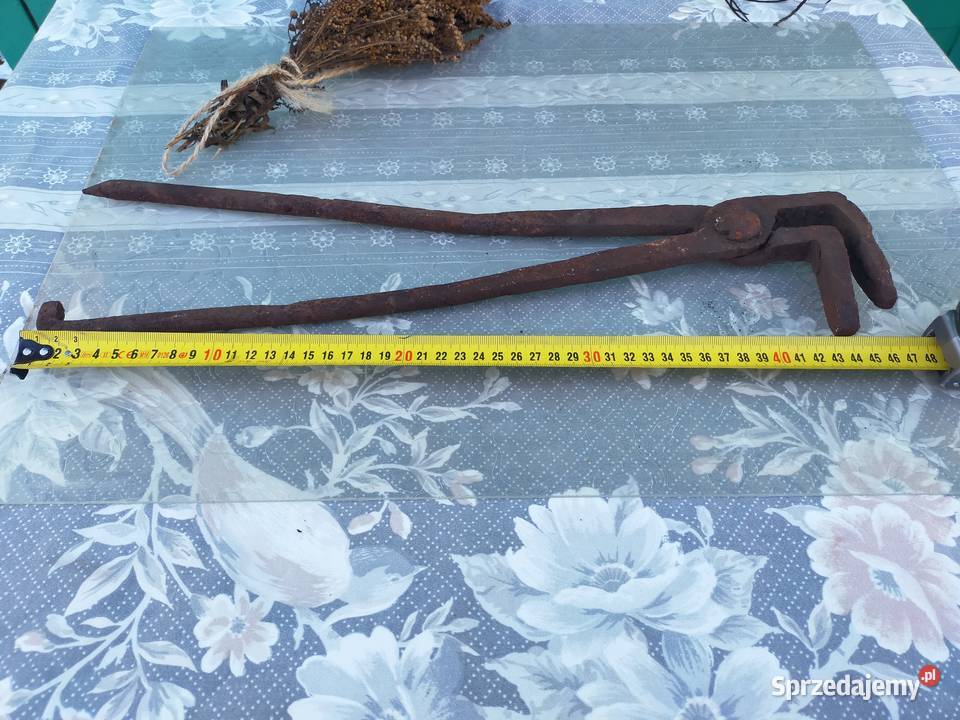 Stare kleszcze kowalskie zachodniopomorskie Połczyn-Zdrój