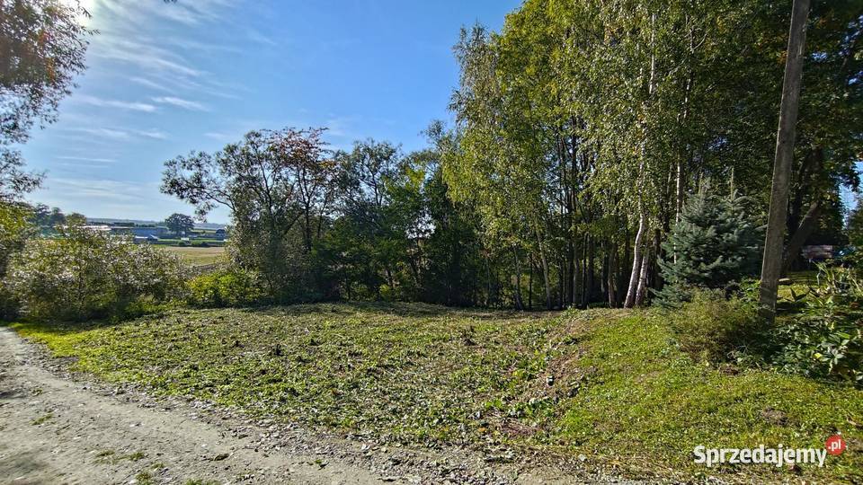 Rokietnica 15 min Przemyśla działka 556 ar z