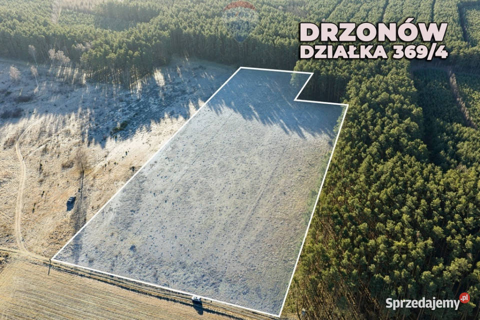 Na sprzedaż działka inwestycyjna 24900 m 0m Sprzedaż lubuskie Drzonów