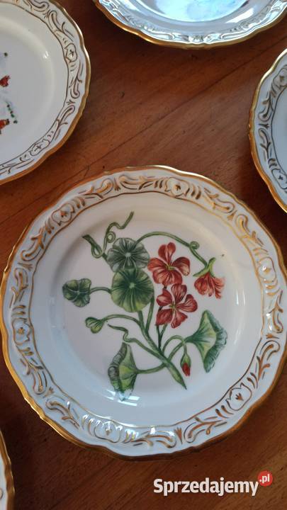 Przepiękne ręcznie malowane owoce Biała Gdańsk