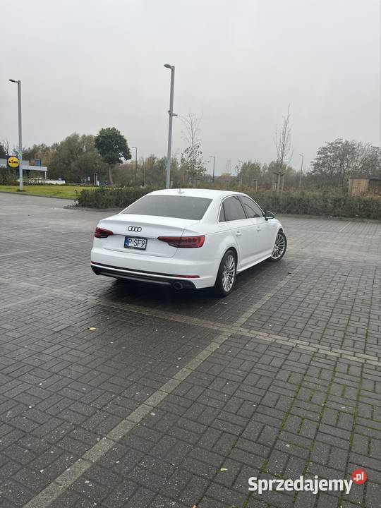 Audi A4 B9 Quattro automat biały LY9C 100 światła przeciwmgielne