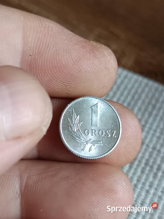 Sprzedam 1 grosz 1949 r Chełm