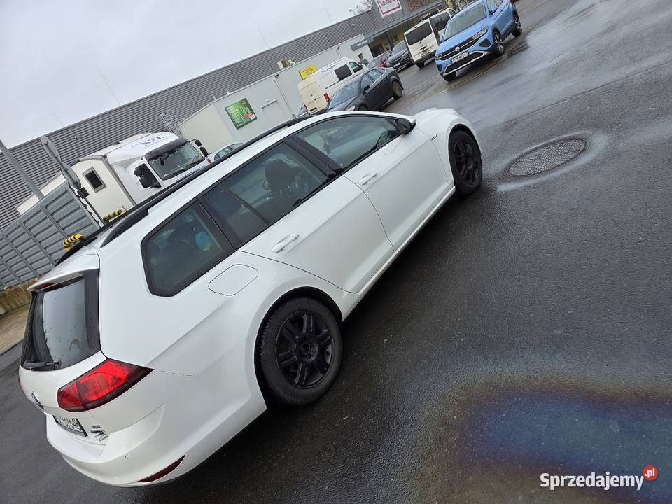 Vw golf 7 BlueMotion Gryfice