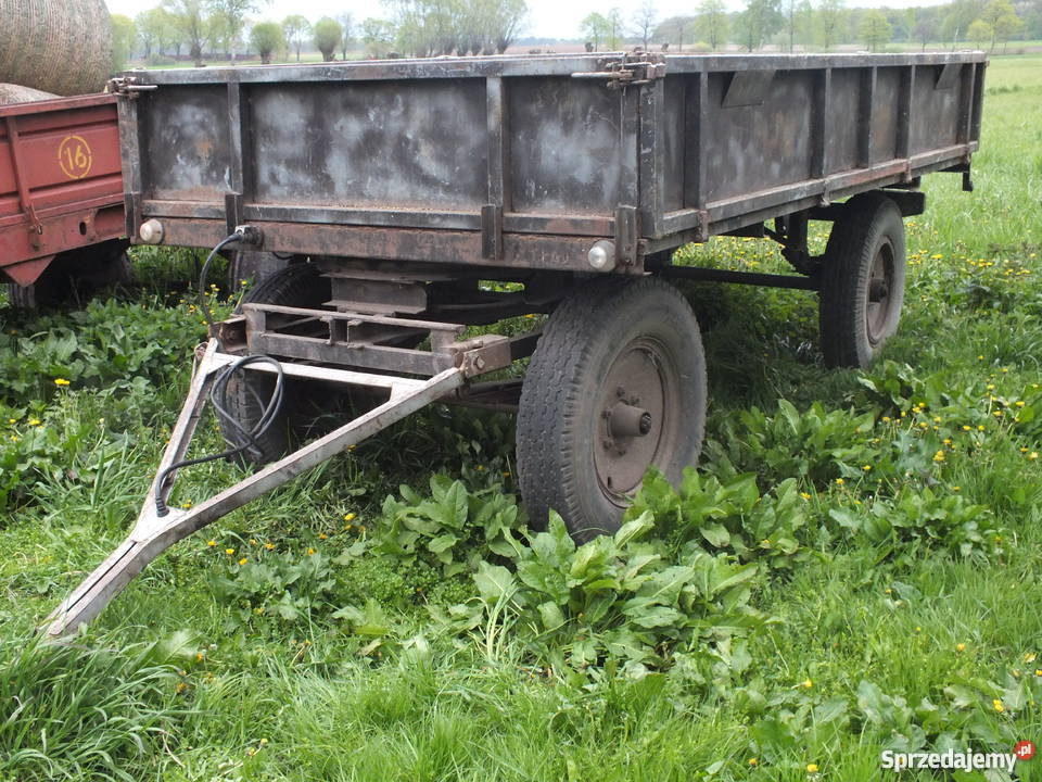 Przyczepa 35 4 tony sztywna Kostrzyn