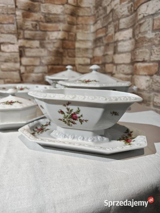Rosenthal Maria Moosrose duży zestaw porcelany Sandomierz