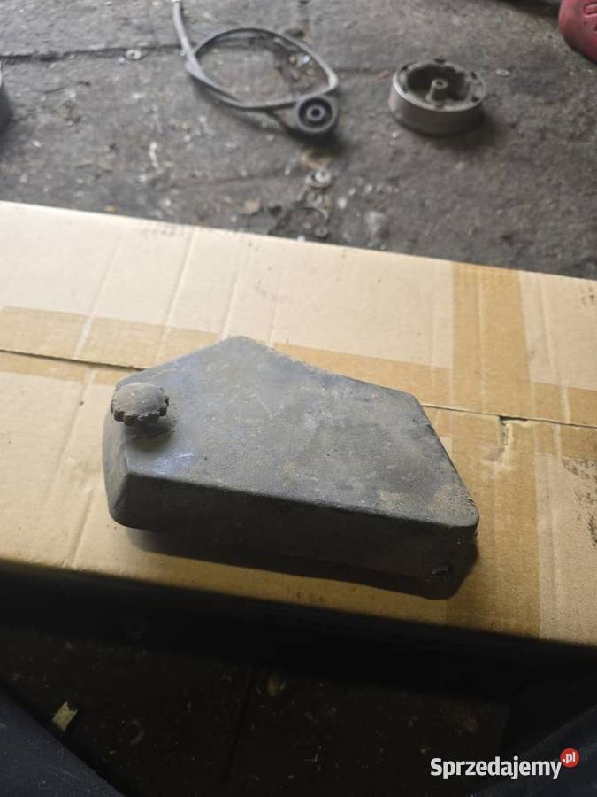 Boczek komar Gorzów Wielkopolski