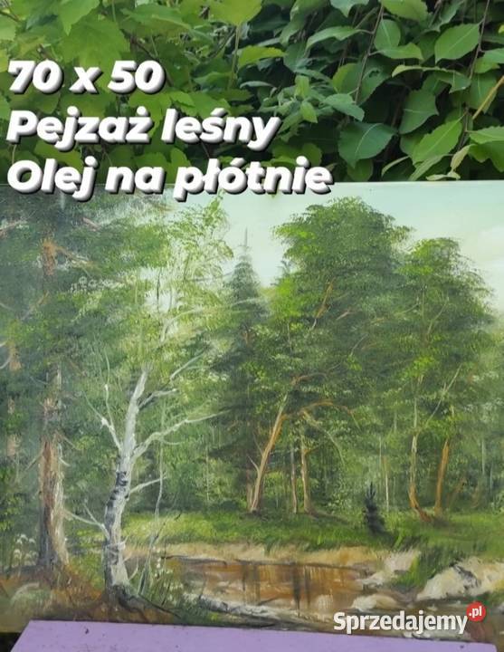PEJZAŻ LEŚNY OLEJ NA PŁÓTNIE 70 x 50
