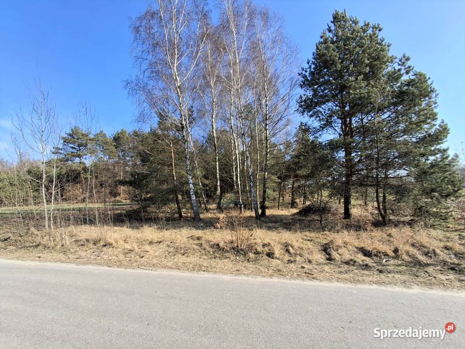 Piękna zadrzewiona działka budowlana w Grunty i działki lubelskie Wola Gardzienicka