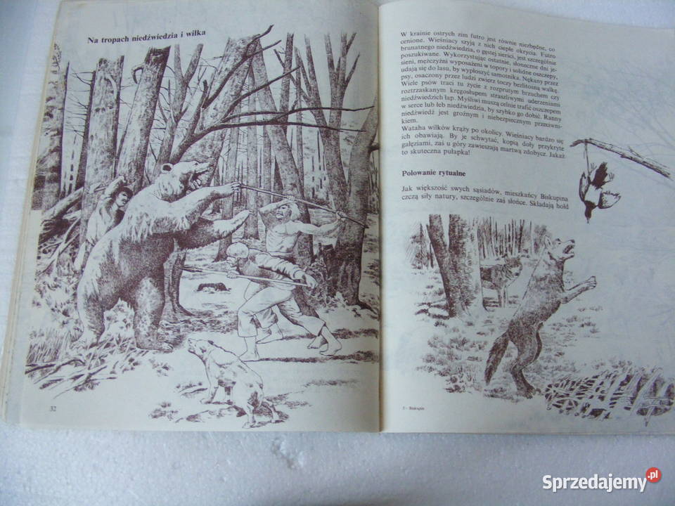 Warowny gród z epoki żelaza Biskupin Soberski Oborniki Śląskie