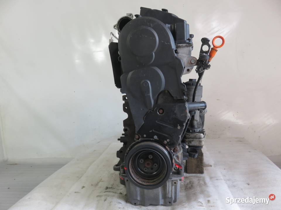 SILNIK VW CADDY III 19 TDI 105 BLS 038130079TX