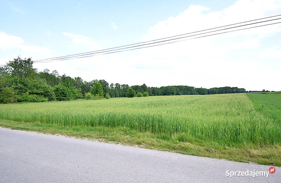 Sprzedam działkę budowlaną w okolicy Czarnolasu Sprzedaż