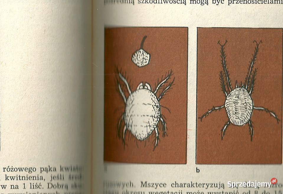 Sadownictwo i szkółkarstwo Podręcznik Podręczniki Podręczniki Łódź