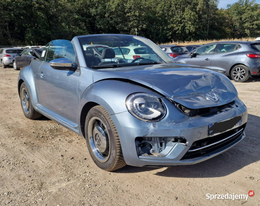 Volkswagen Beetle vw beetle coccinelle Pleszew