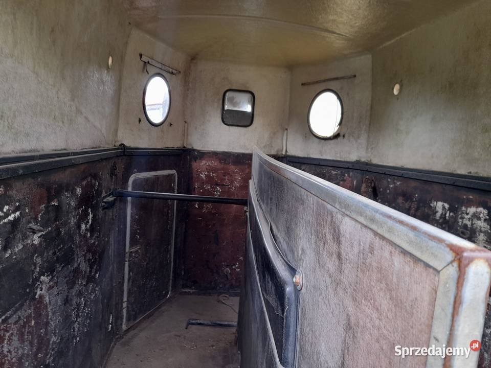 Przyczepa Westfalia do przewozu koni Serock sprzedam