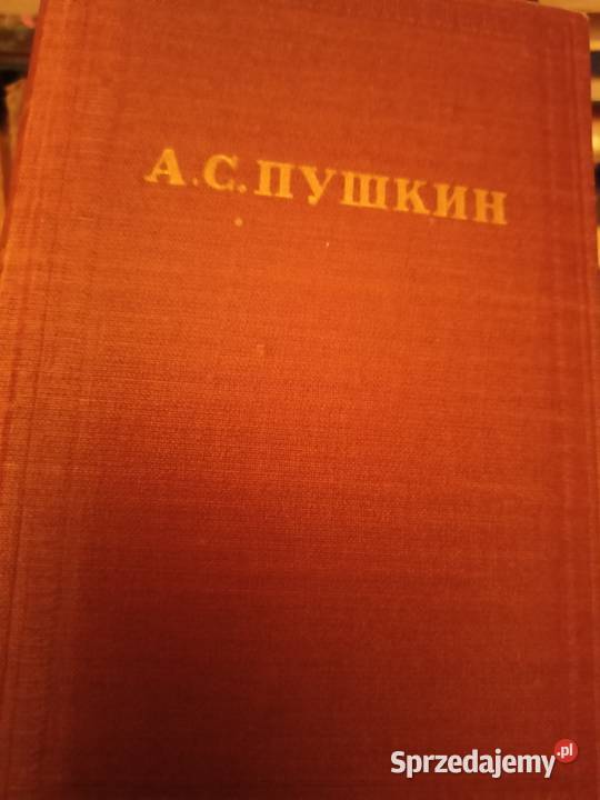 Puszkina książki rosyjskie oryginalny Eugeniusz Książki do nauki języka obcego Warszawa