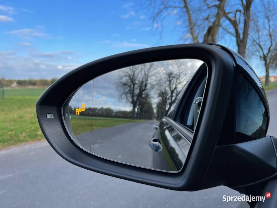 VW Golf EGOLF 2020r ZADBANY ELEKTRYK 100KM dolnośląskie Środa Śląska