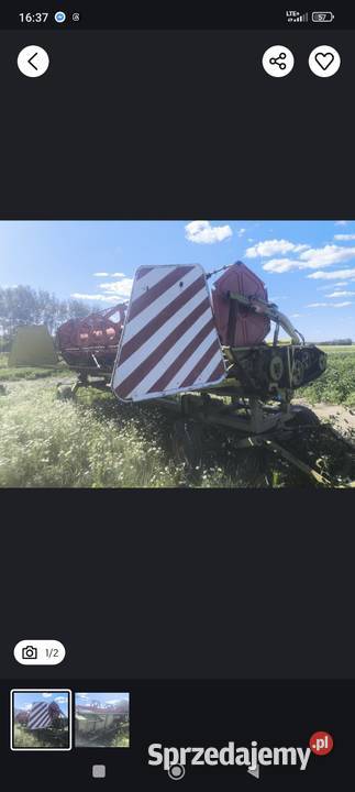 Heder do słonecznika Claas C600 Hajnówka