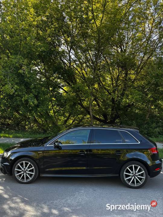Audi a3 etron 14TFSI 204 2016 elektryczne szyby Poniatowa
