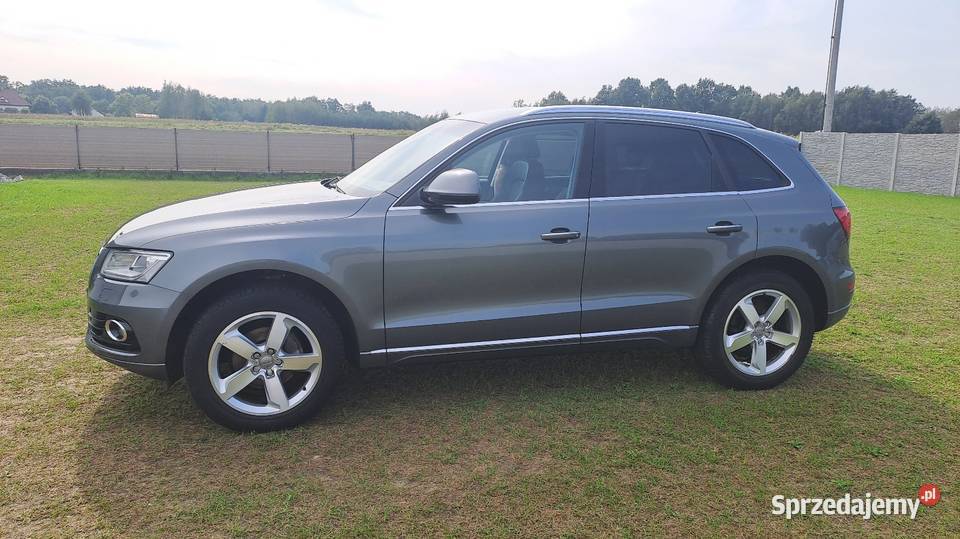 Audi Q5 20 Tdi 150 Quattro 2016r Dąbrowa Tarnowska