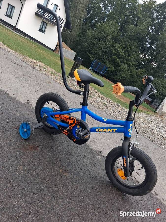 Rower dziecięcy giant 4 lata+ podkarpackie Jodłowa sprzedam