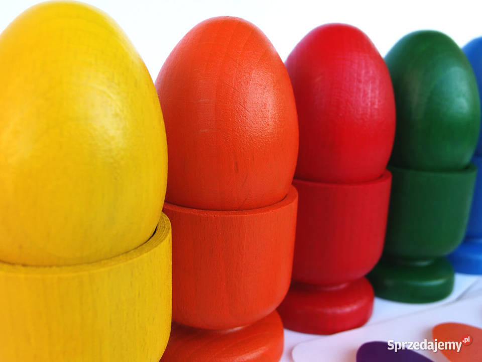 Sorter jajka układanka lewopółkulowa karty pracy 12m+ Zduńska Wola