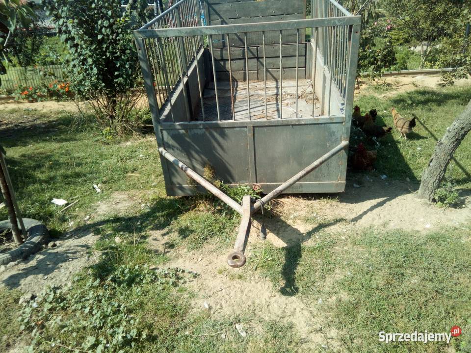 Przyczepka do przewozu zwierząt nieuszkodzony Brzoza