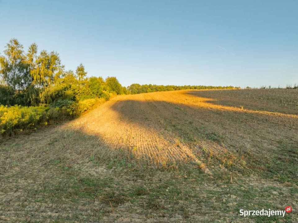 2 ha pozwolenie na 3 domy gm Skała Sprzedaż