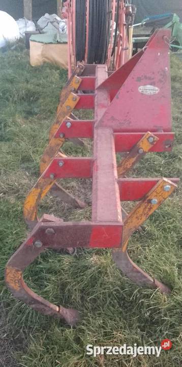 Gruber głębosz bezorkowiec 11 łap Jabłonowo Pomorskie