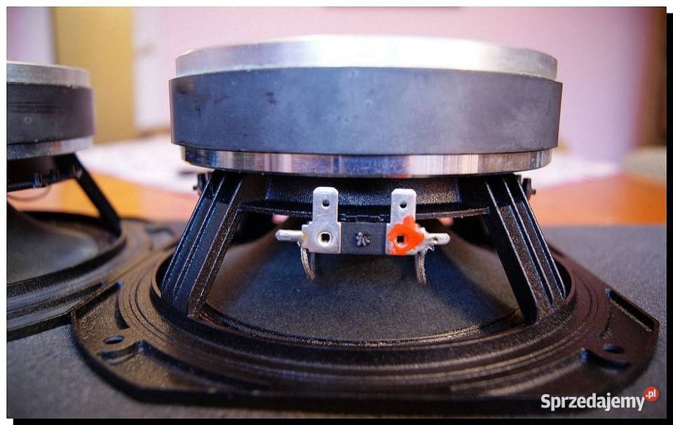 Kolumny HiEnd Focal Audio Scan Speak Peerless Tarnów
