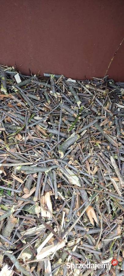 Zrębki akacjowośliwkowe lubelskie Chełm